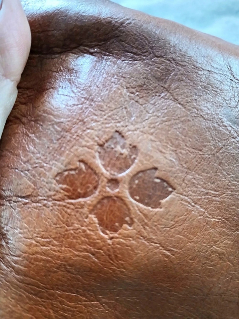 Patricia Nash Studded Brown Leather Hobo - Picture 11 of 16